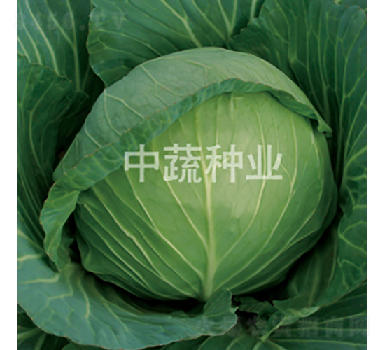 �и�96-��������-������ҵ