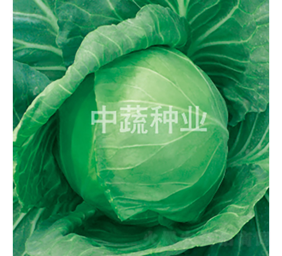 �и�301-��������-������ҵ