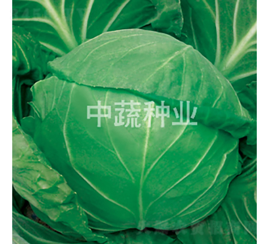 �и�628-��������-������ҵ