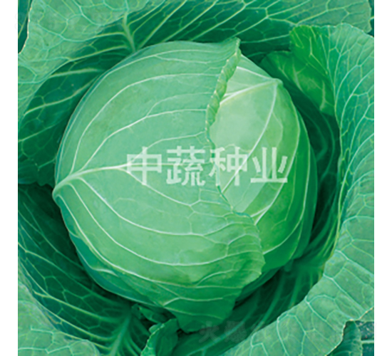 �и�596-��������-������ҵ