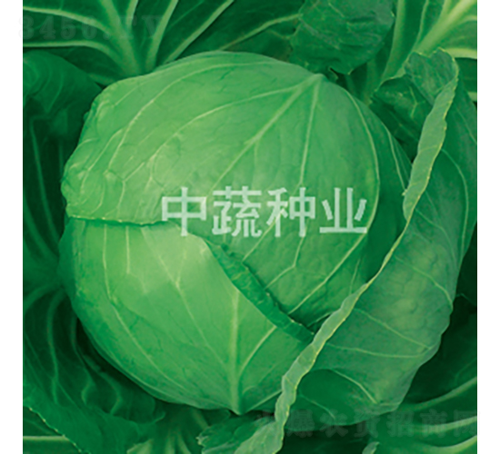 �и�828-��������-������ҵ