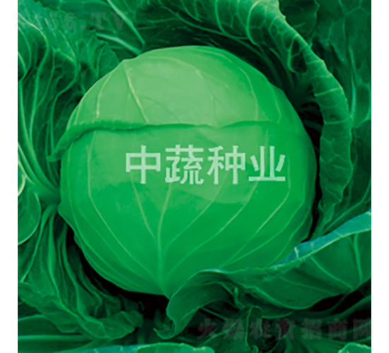 �и�192-��������-������ҵ