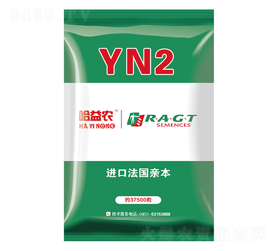 YN2-��������-��ũ��ҵ