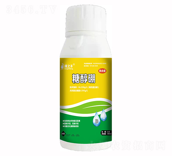 �Ǵ���-¡֮��