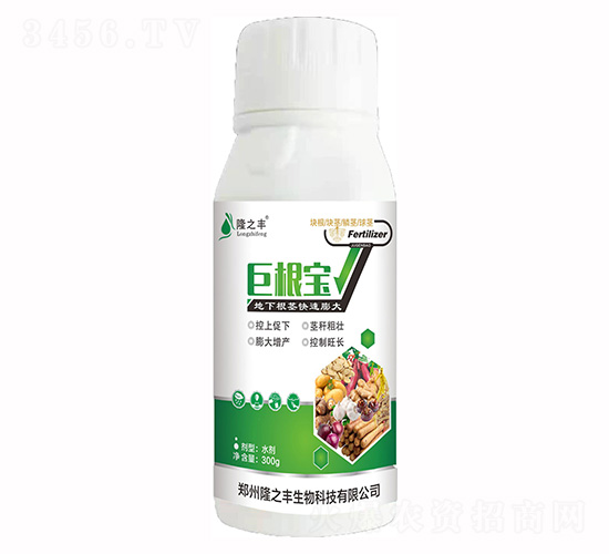 �޸���-¡֮��