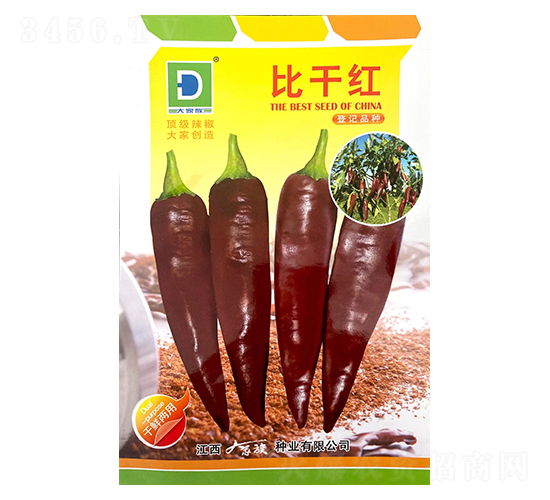 �ȸɺ�-��������-�������ҵ