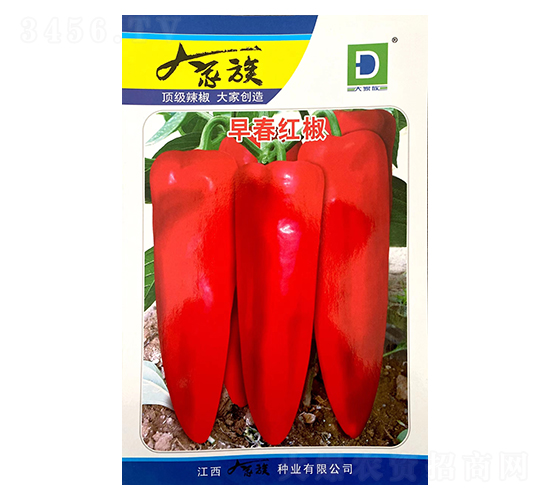 �紺�콷-��������-�������ҵ