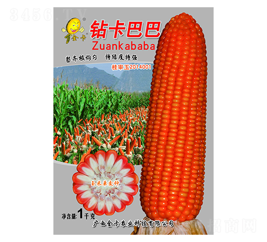 �꿨�Ͱ�-��������-��ũҵ