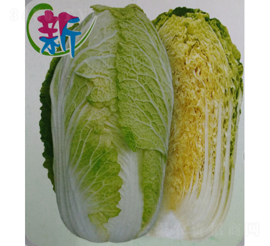 CR����602��ײ�-�ײ�����-����