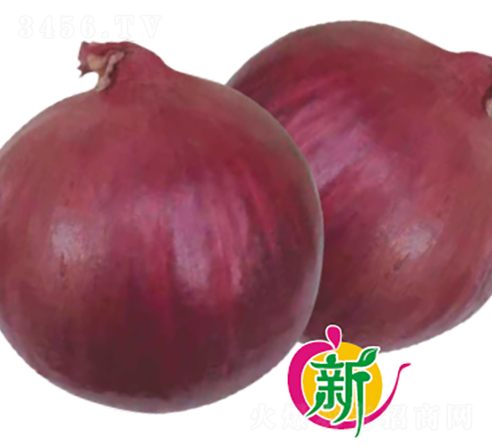 ����818���-�������-����