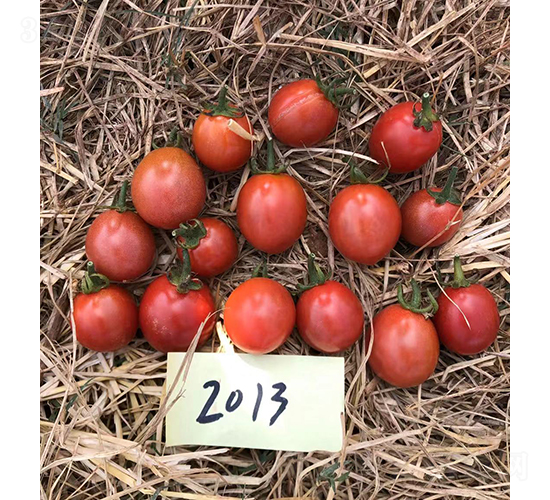 �����2013-��������-����