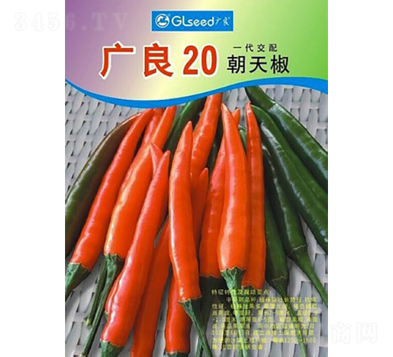 ����20���콷-��������-����