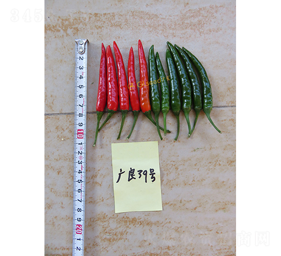 ����39���콷-��������-����