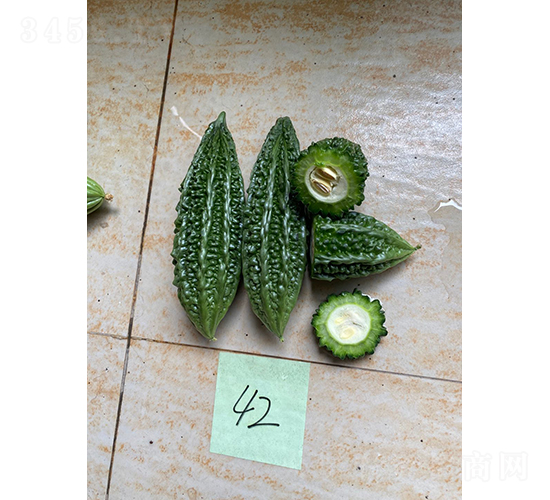ī����-�������-����