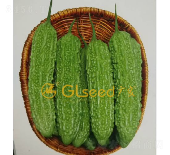 �齭���-�������-����