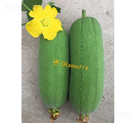 ��ˮˮ��-˿������-����