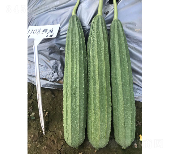 ����1108����˿��-˿������-����
