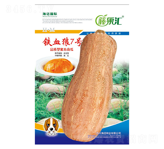 ��Ѫ��7��-�Ϲ�����-�ٹ���-��������