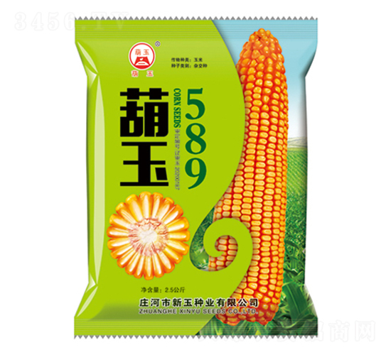 ����589-��������-������ҵ