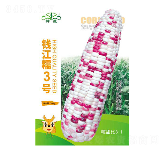 Ǯ��Ŵ3����������-��¹��ҵ