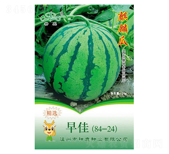 ��ѣ�84-24����������-��¹��ҵ