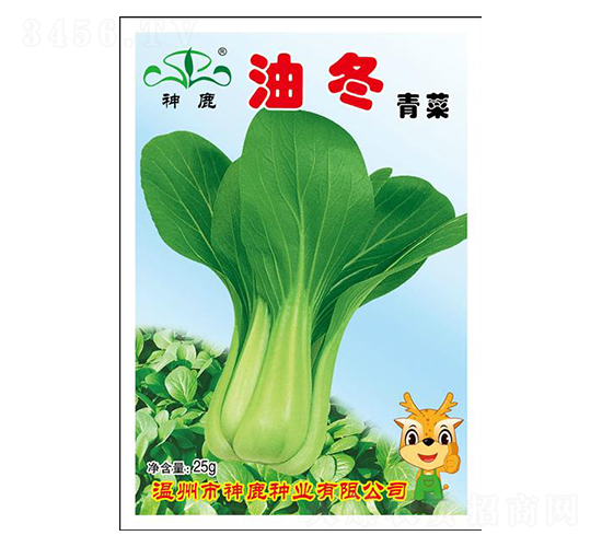 �Ͷ�-�๣������-��¹��ҵ