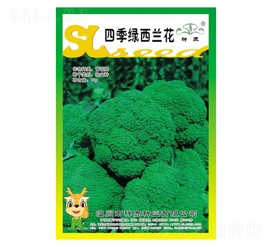 �ļ���������-����������-��¹��ҵ