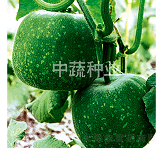 һ����4��-��������-������ҵ