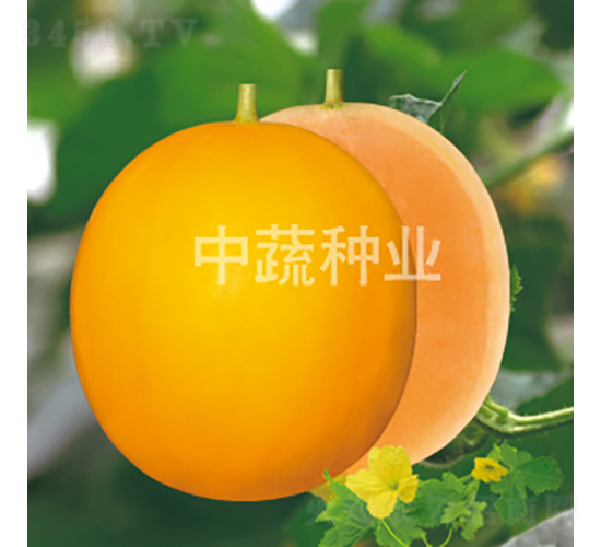 ����198-�������-������ҵ