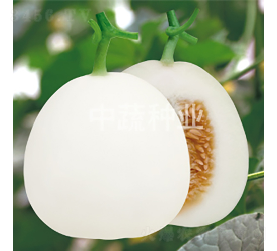 ����29-�������-������ҵ