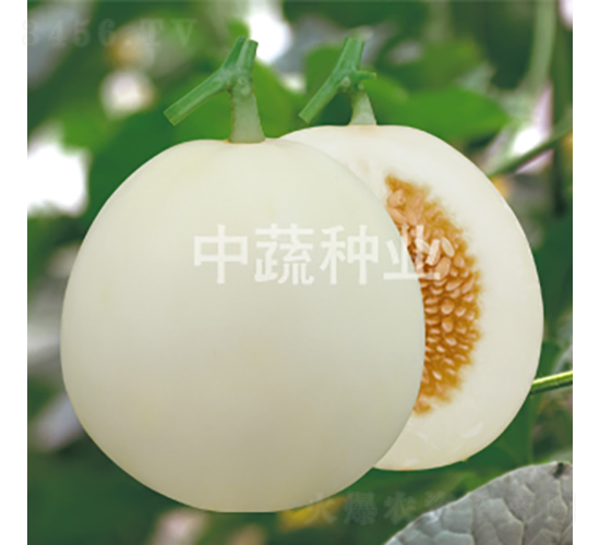 ����25-�������-������ҵ