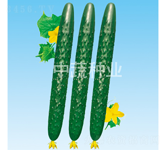 ��ũ50-�ƹ�����-������ҵ