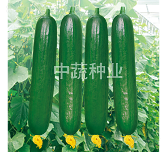 ��ũ59-�ƹ�����-������ҵ