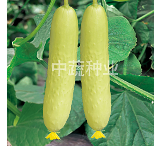 ��ũ����2��-�ƹ�����-������ҵ