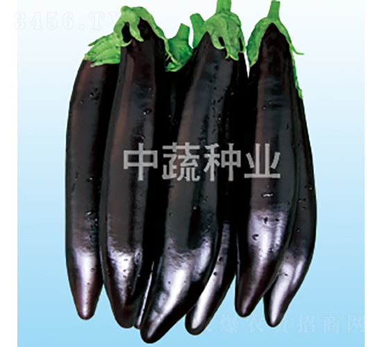 ����218-��������-������ҵ