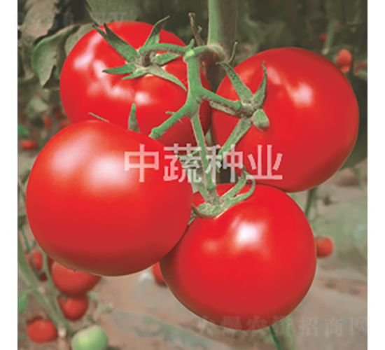 ����302-��������-������ҵ