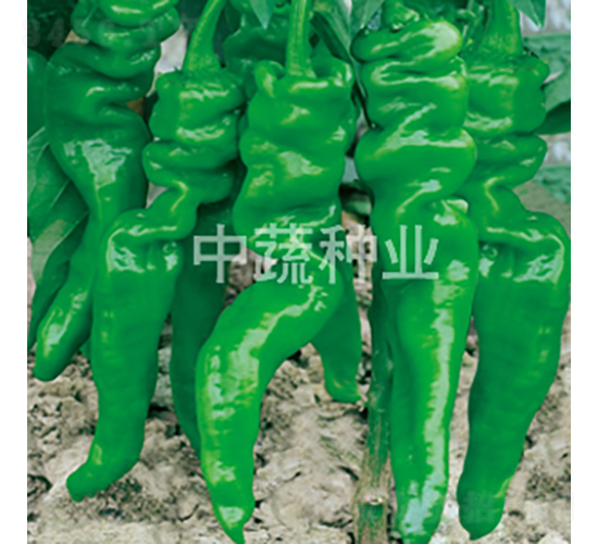 �н�209��-��������-������ҵ