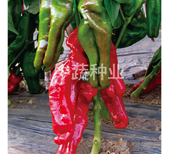 �н�309-��������-������ҵ