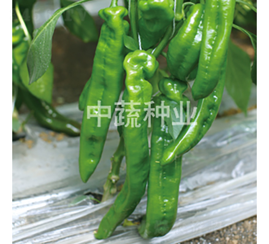 �н�0813-��������-������ҵ