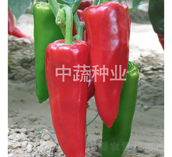 �н�106-��������-������ҵ