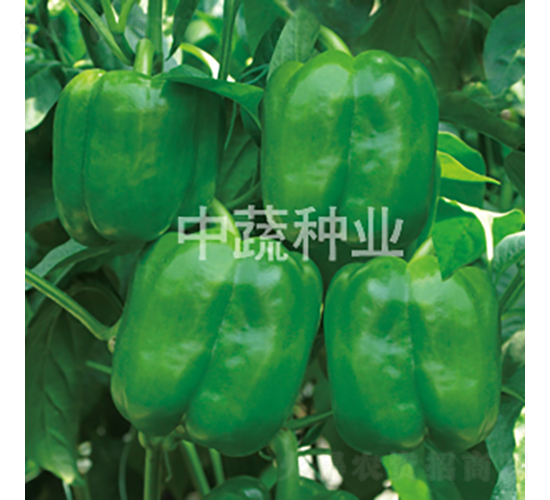 �н�0807-��������-������ҵ