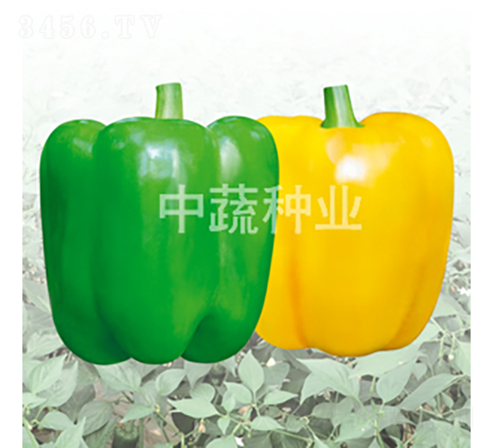 �н�08-08��-������-������ҵ