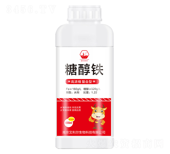 �Ǵ���-����������