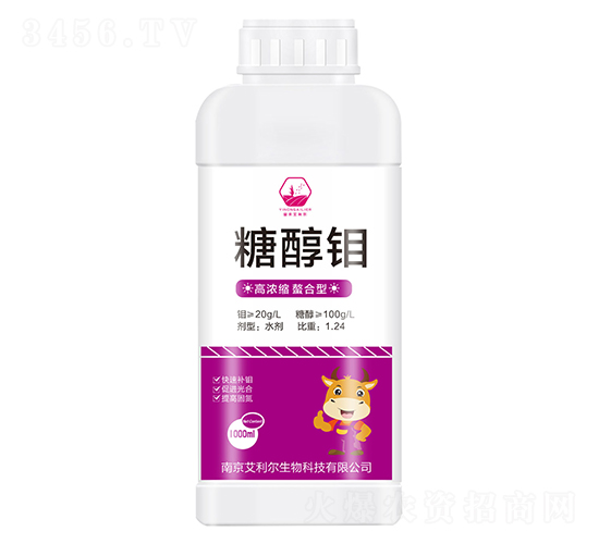 �Ǵ���-����������