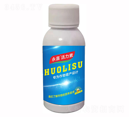 ������-����ֲ��
