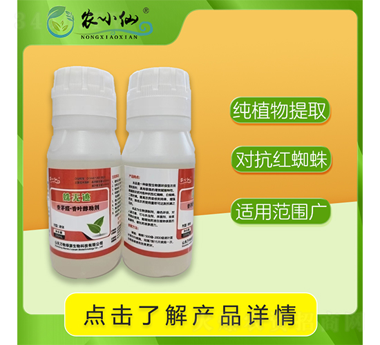 ���޼�����֩�롢����������-ũС��-������Դ