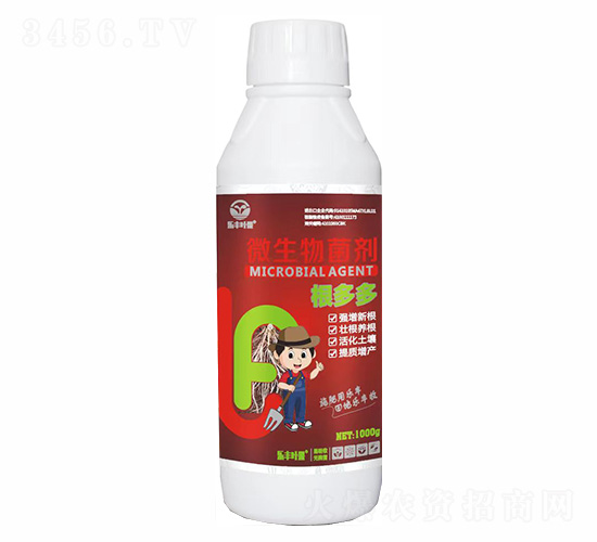 �����΢�������-�ַ�Ҷ��-���ַ�