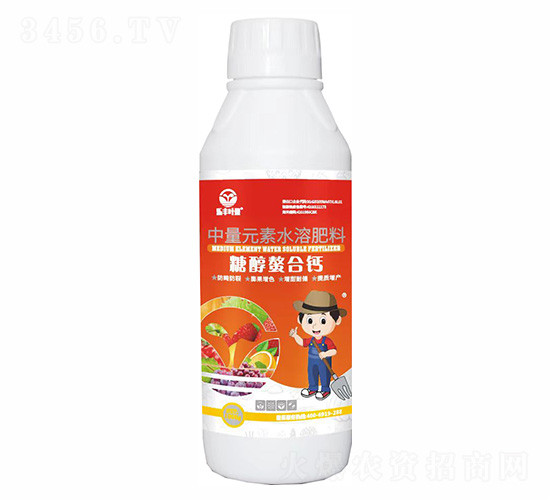 �Ǵ����ϸ�-�ַ�Ҷ��-���ַ�