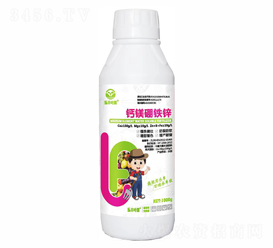 ��þ����п-�ַ�Ҷ��-���ַ�