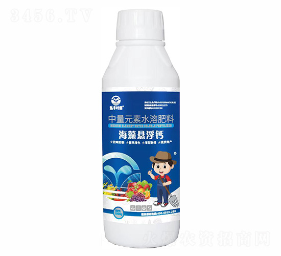 ����������-�ַ�Ҷ��-���ַ�
